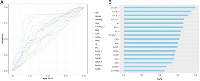 AI-enhanced diagnostic model for pulmonary nodule classification